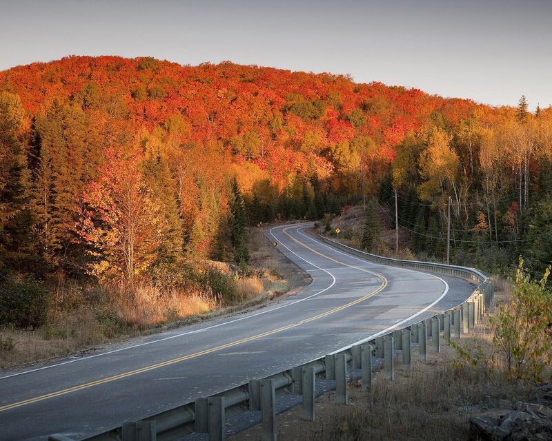 Winding Road Through Forest — Red, Serene