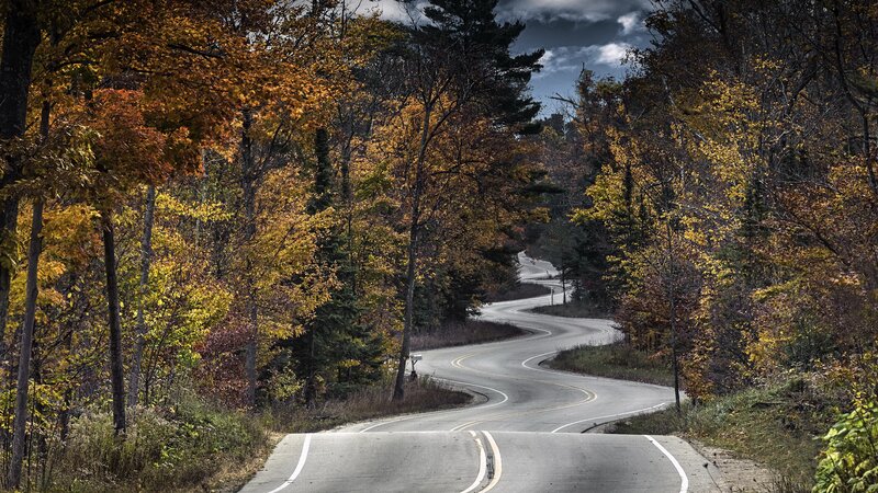 Winding Road Through Forest — Yellow, Serene, Autumn