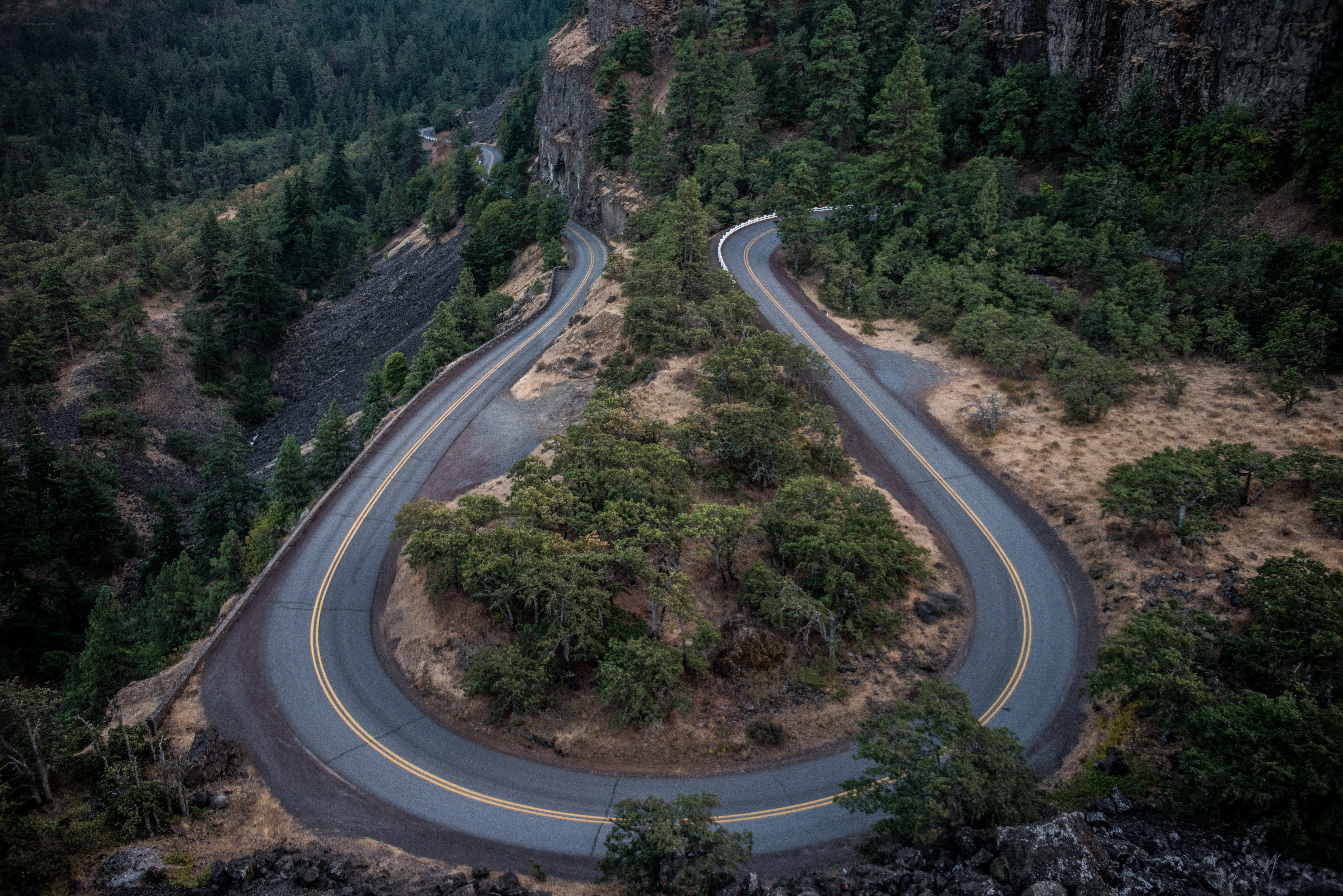 Winding road through forested canyon