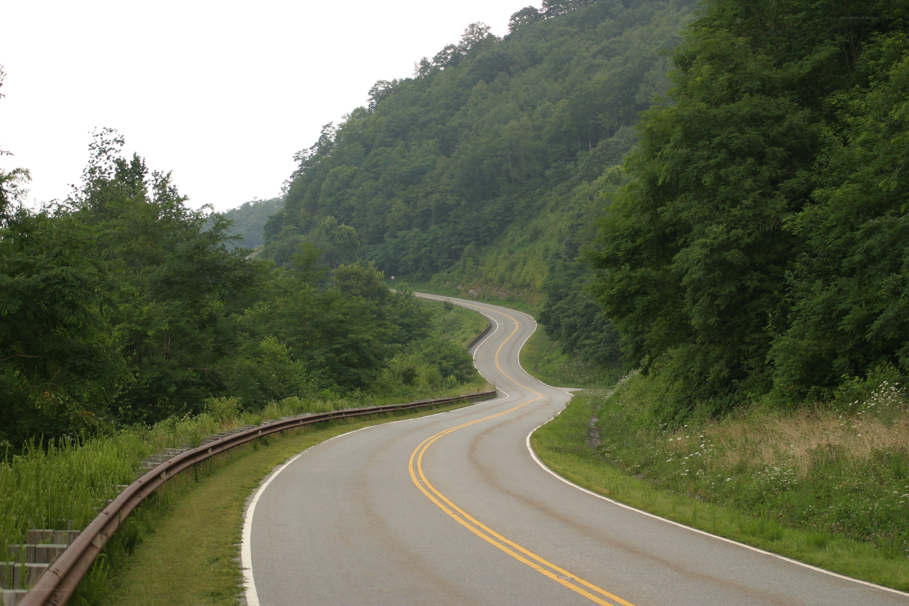 Winding road through forested hills