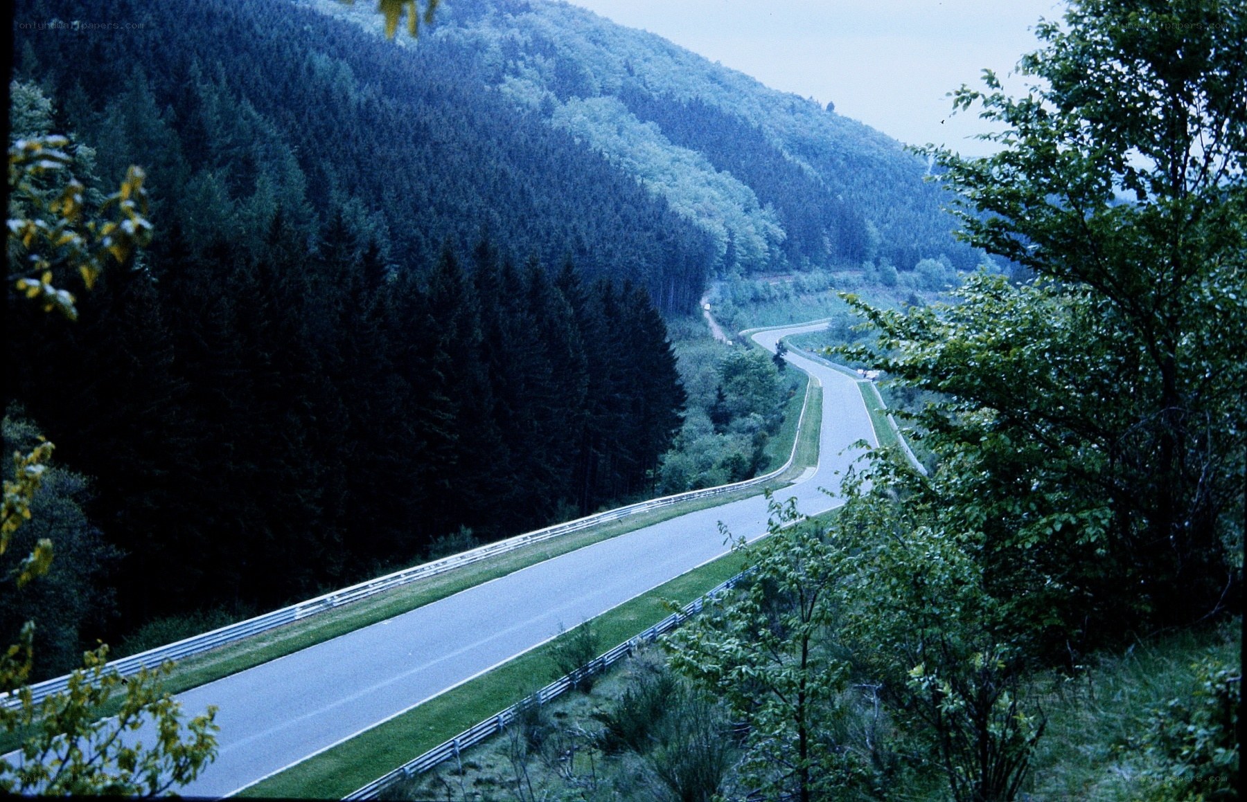 winding road through forested hills
