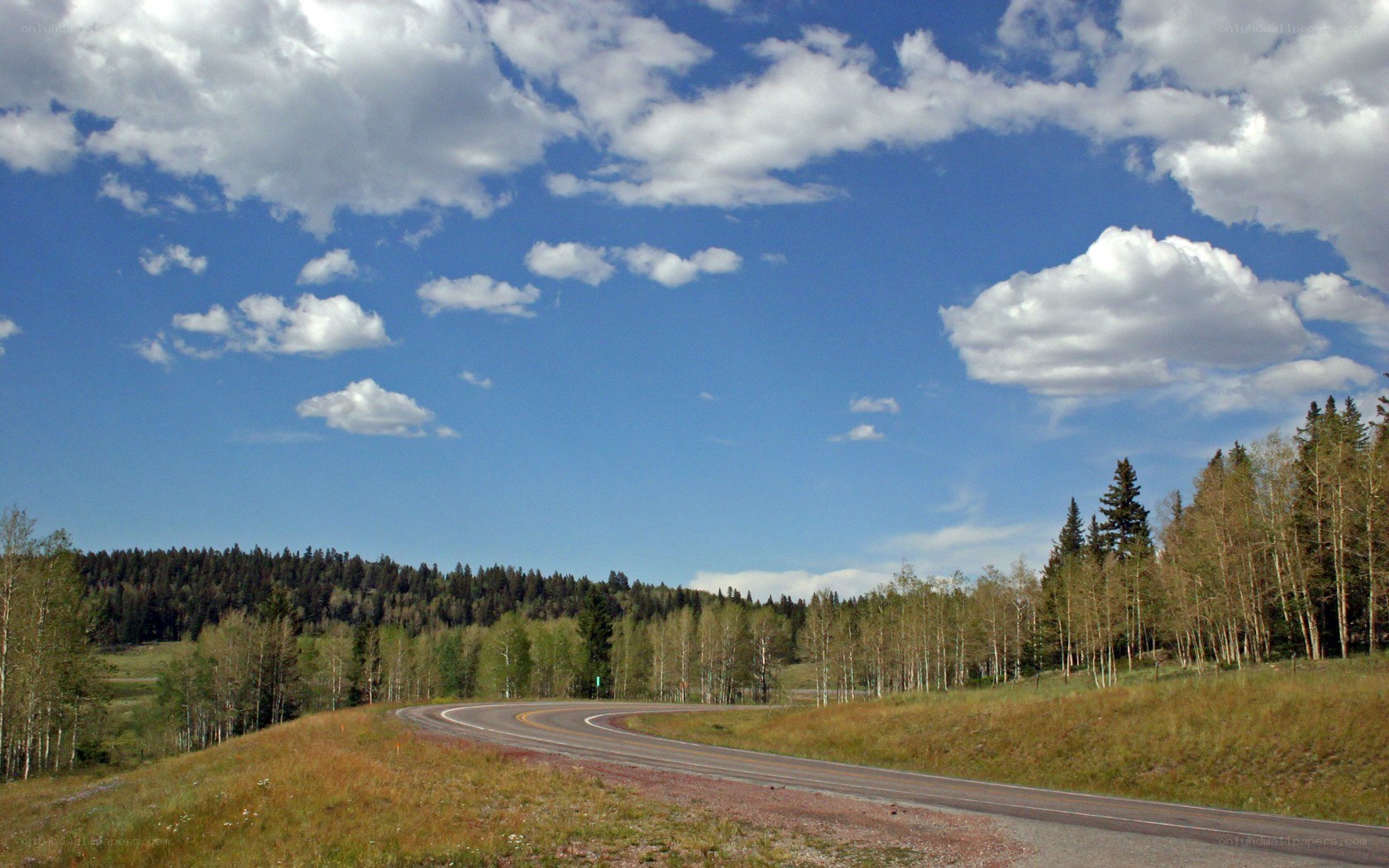Winding road through forested hills