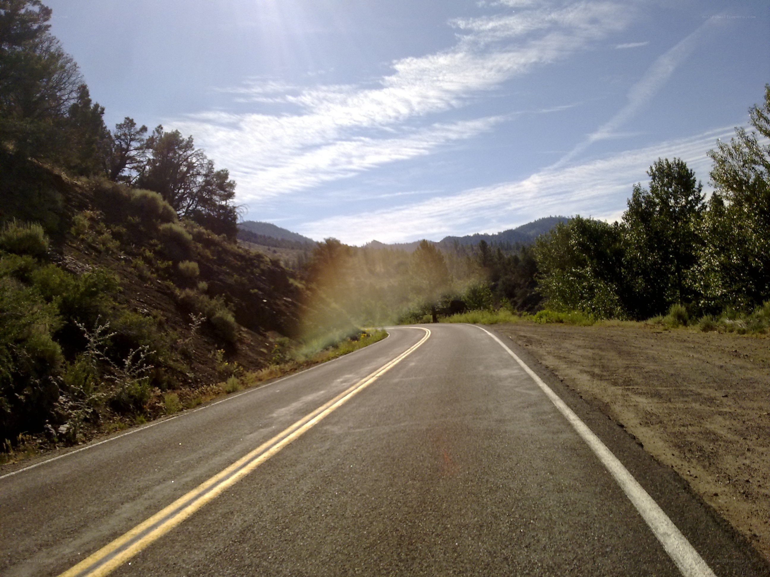 Winding road through forested hills