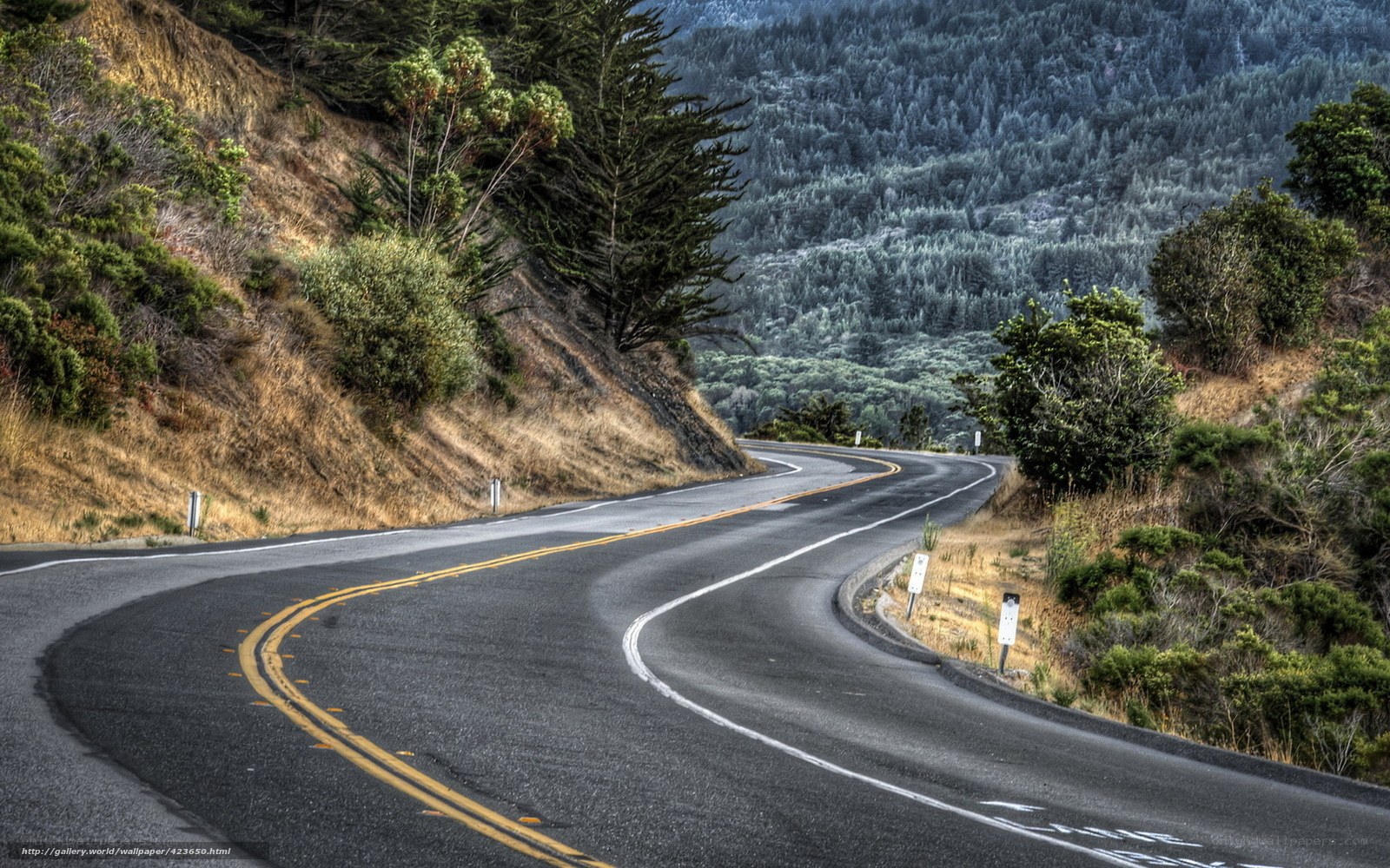 Winding road through forested hills