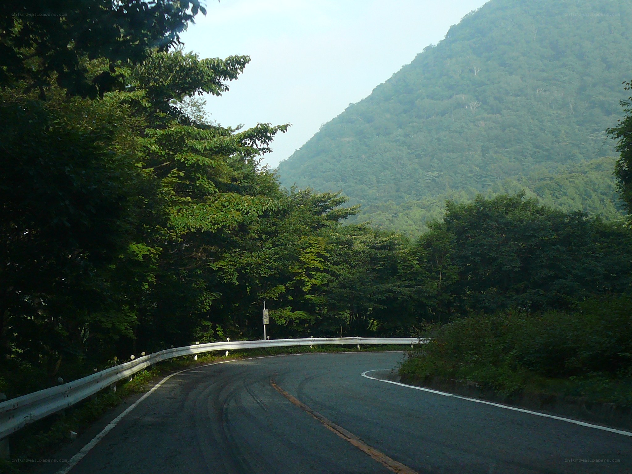 winding road through forested mountains