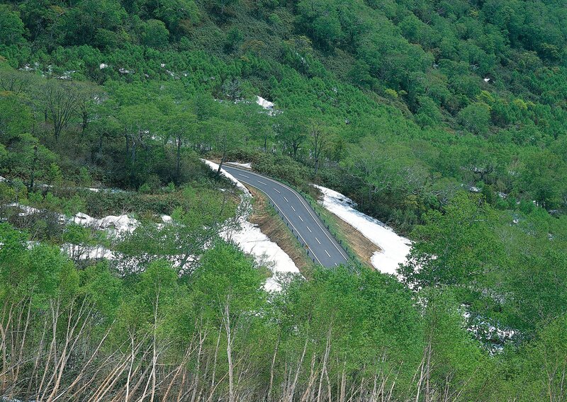 Winding road through forested mountains