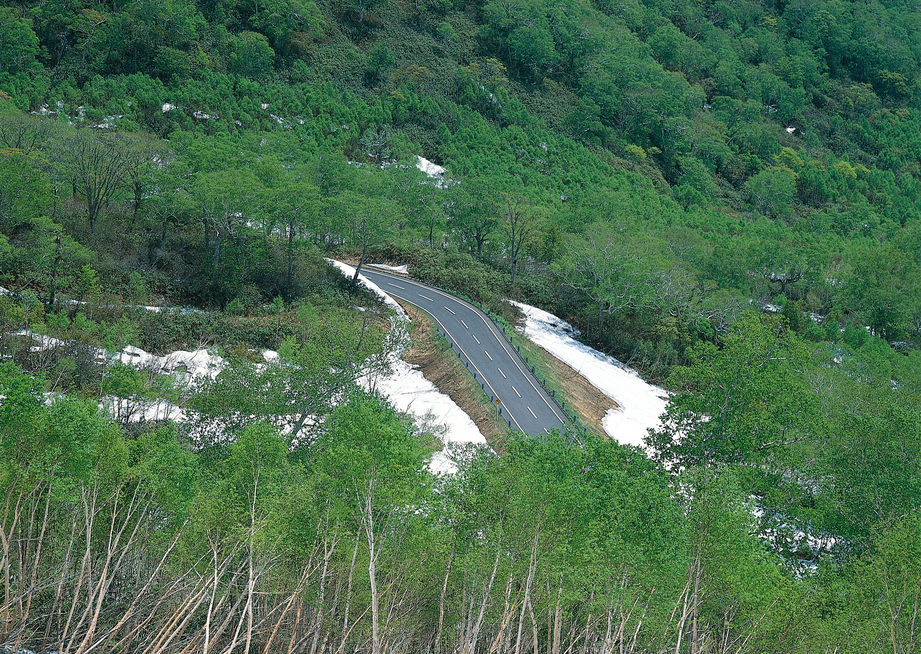 Winding road through forested mountains
