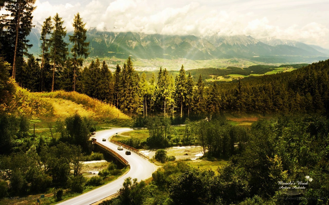 Winding road through forested mountains
