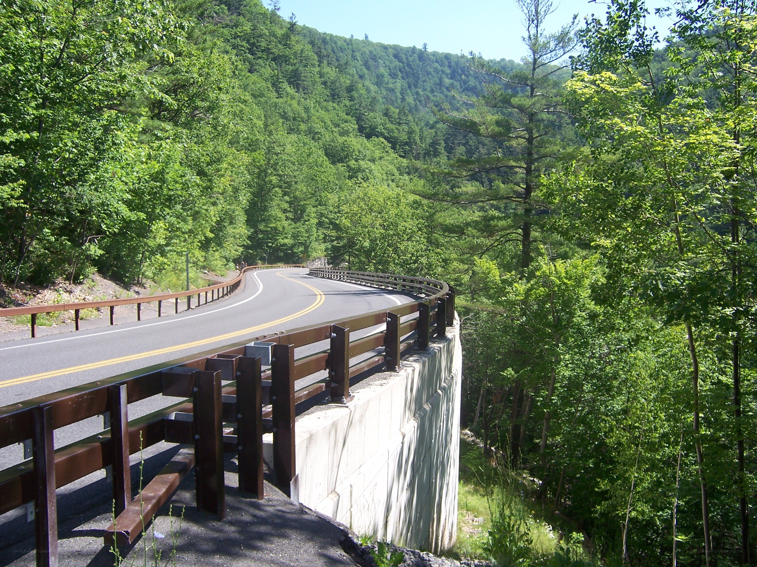 Winding road through forested valley