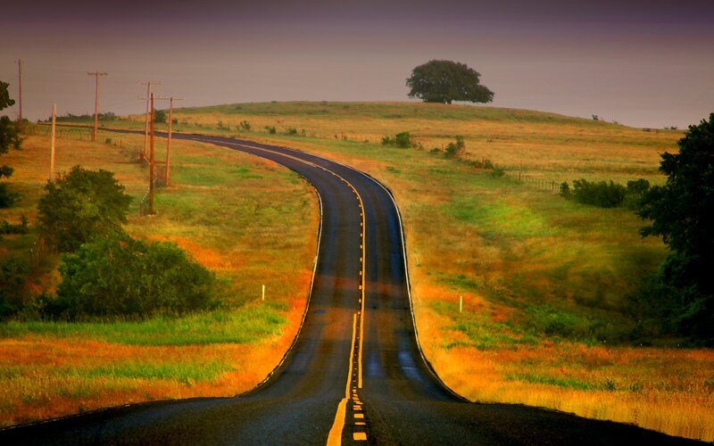 Winding road through golden fields