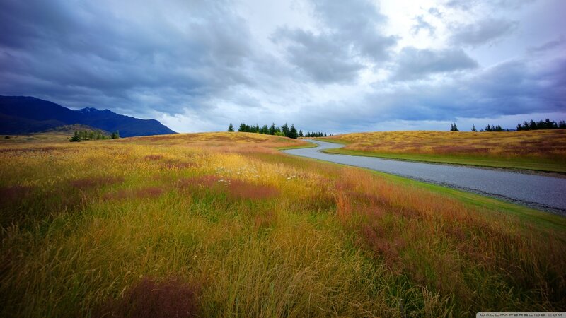 Winding Road Through Grassland