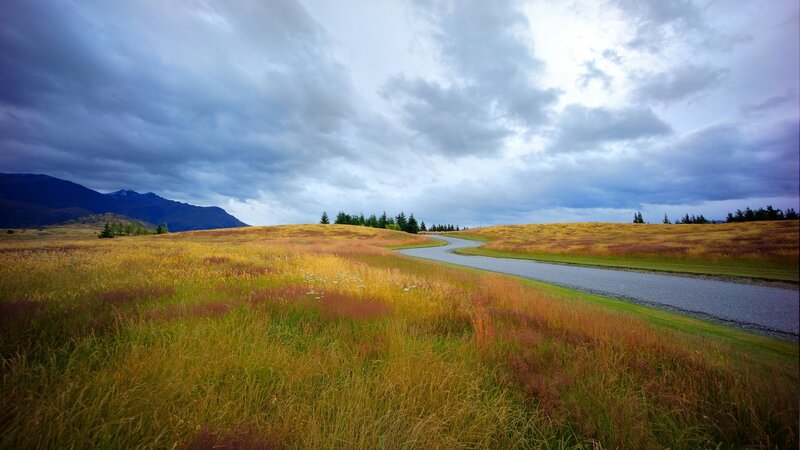 Winding Road Through Grassland — Yellow