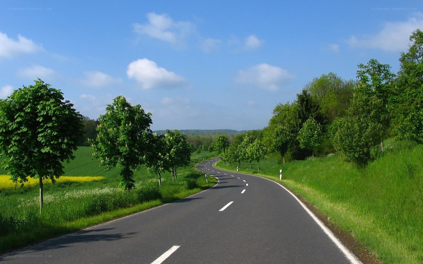 Winding road through green countryside