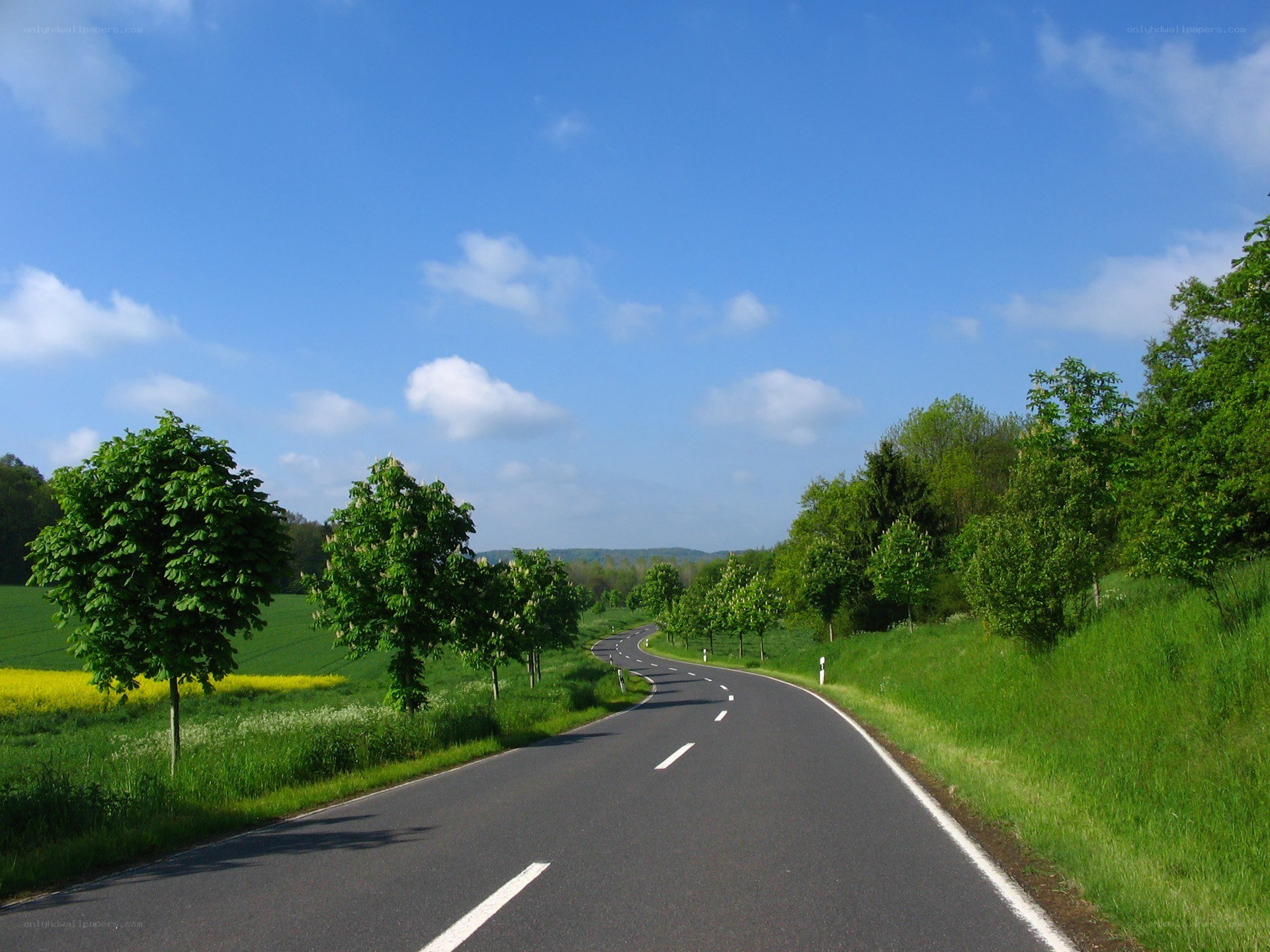 Winding road through green countryside