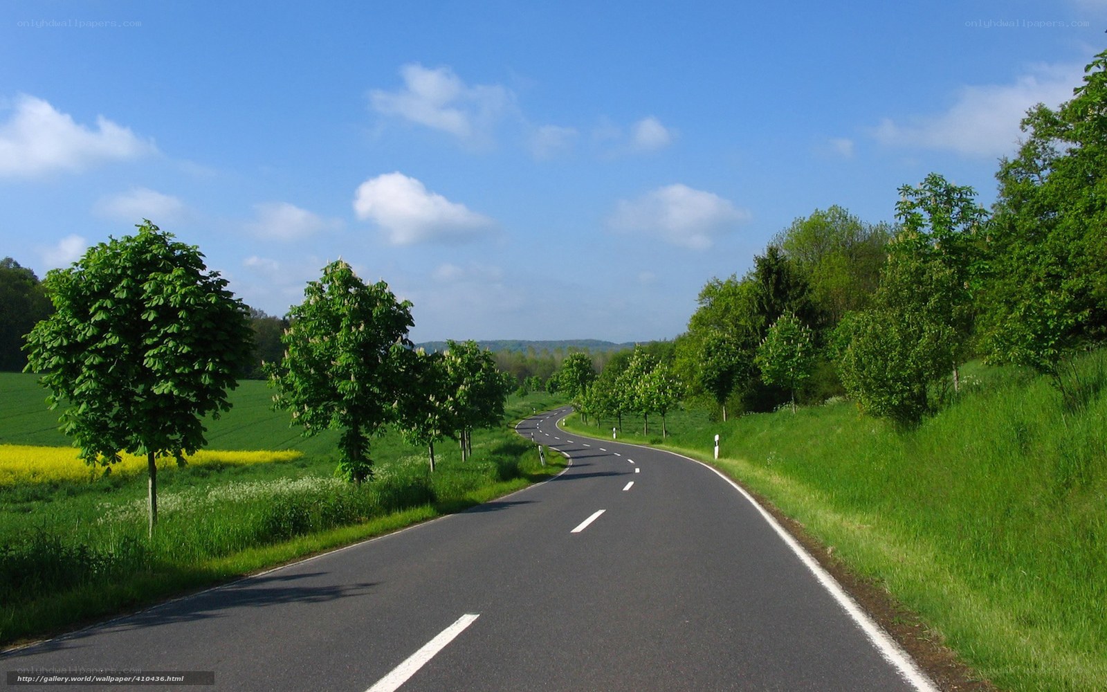 Winding road through green countryside