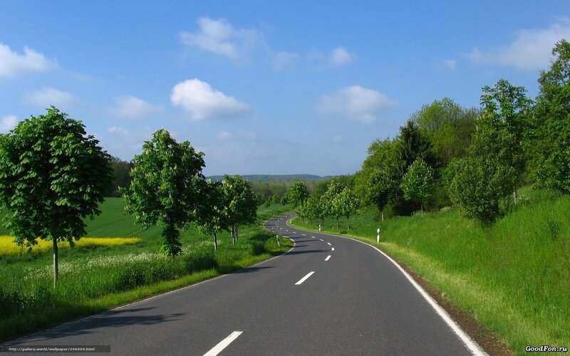 Winding road through green fields