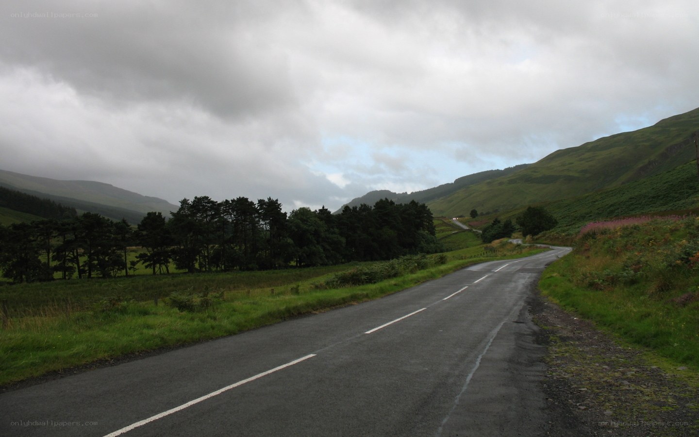 Winding road through green hills
