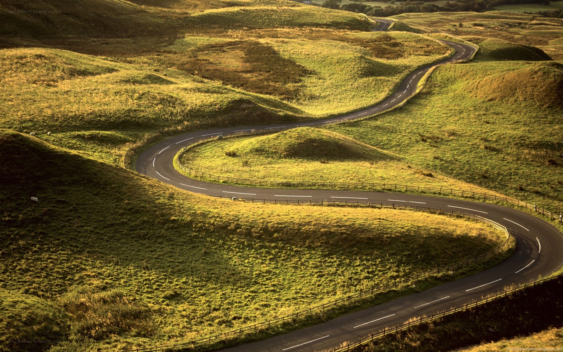 Winding road through green hills