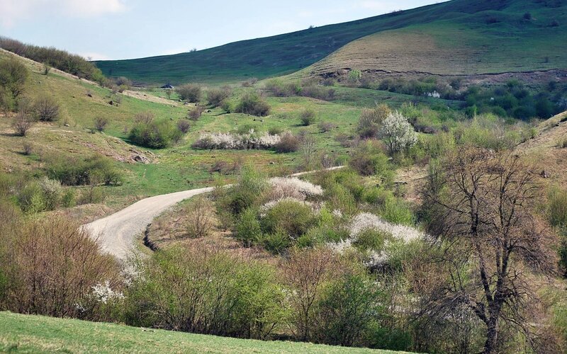 Winding road through green hills