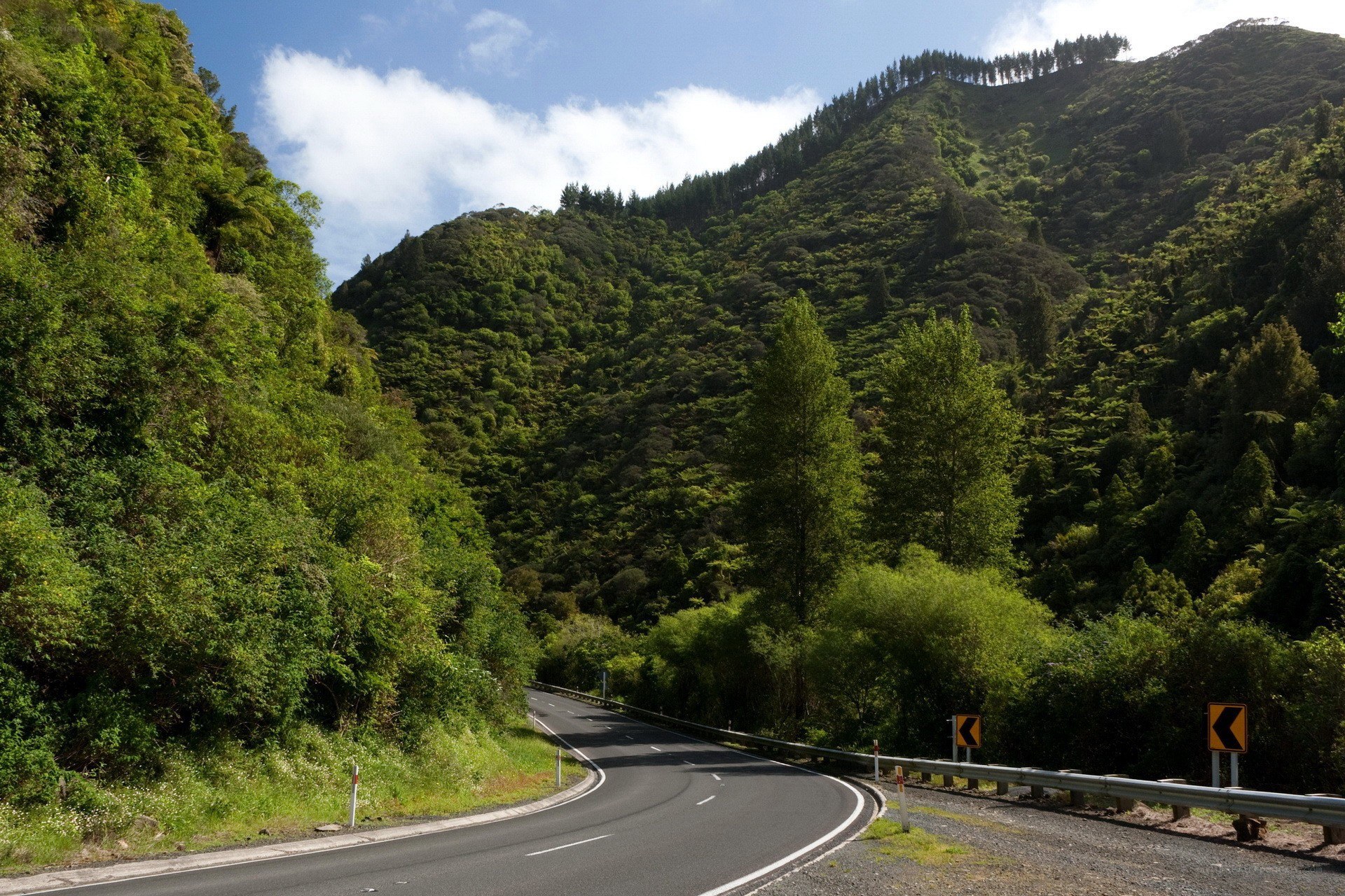 Winding road through green hills