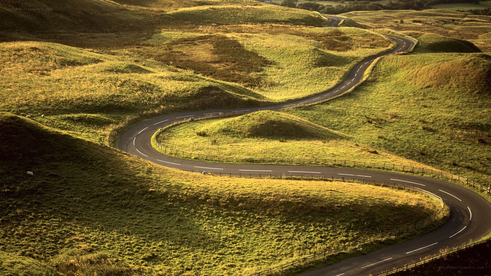 Winding road through green hills
