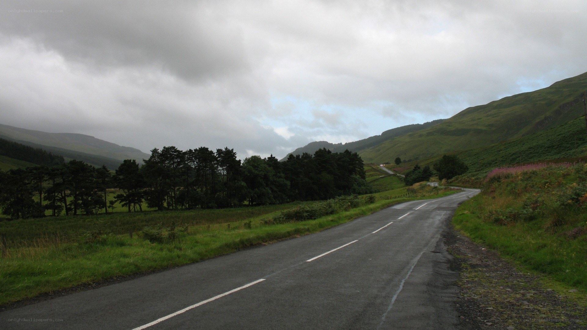 Winding road through green hills