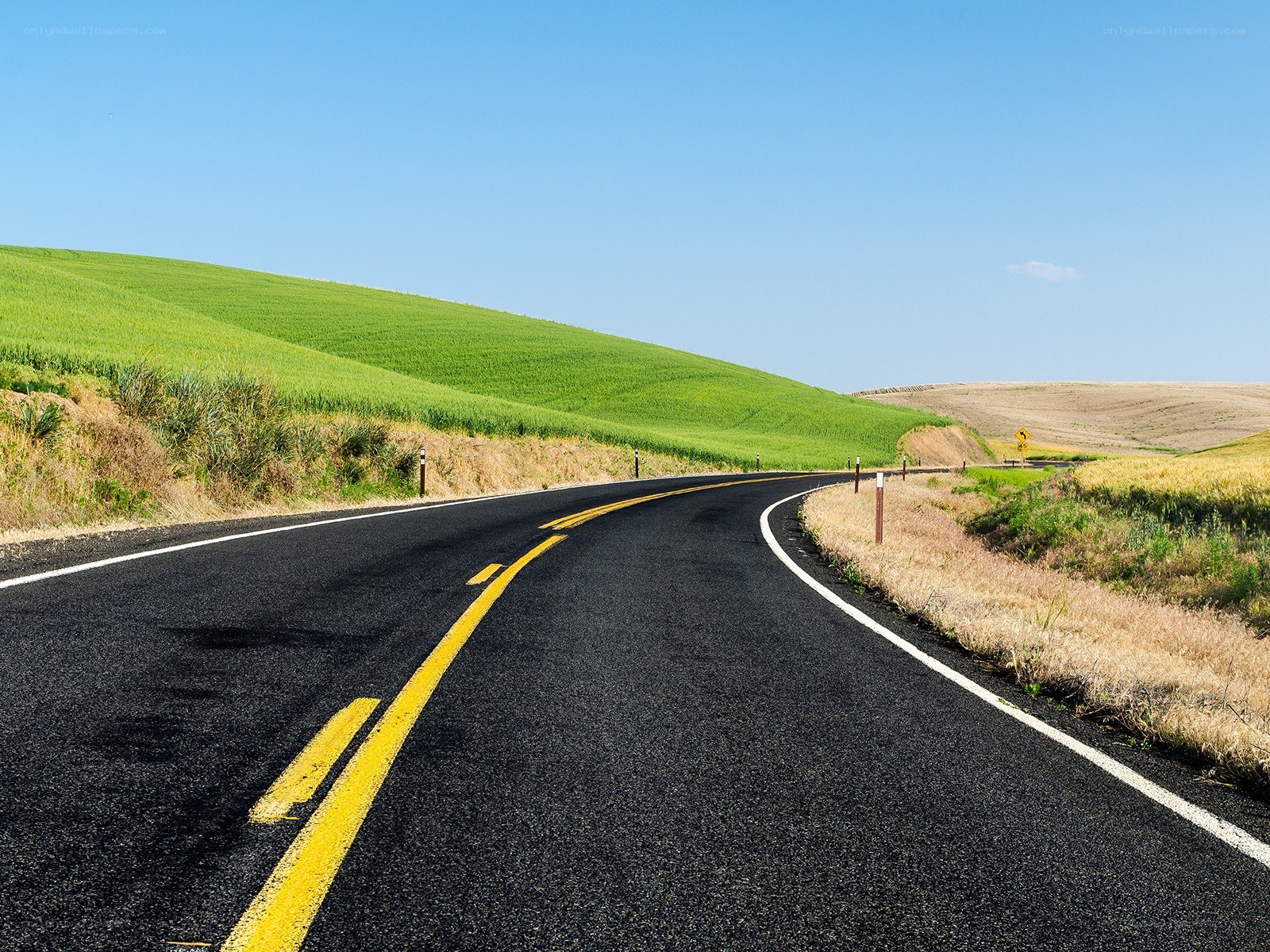Winding road through green hills
