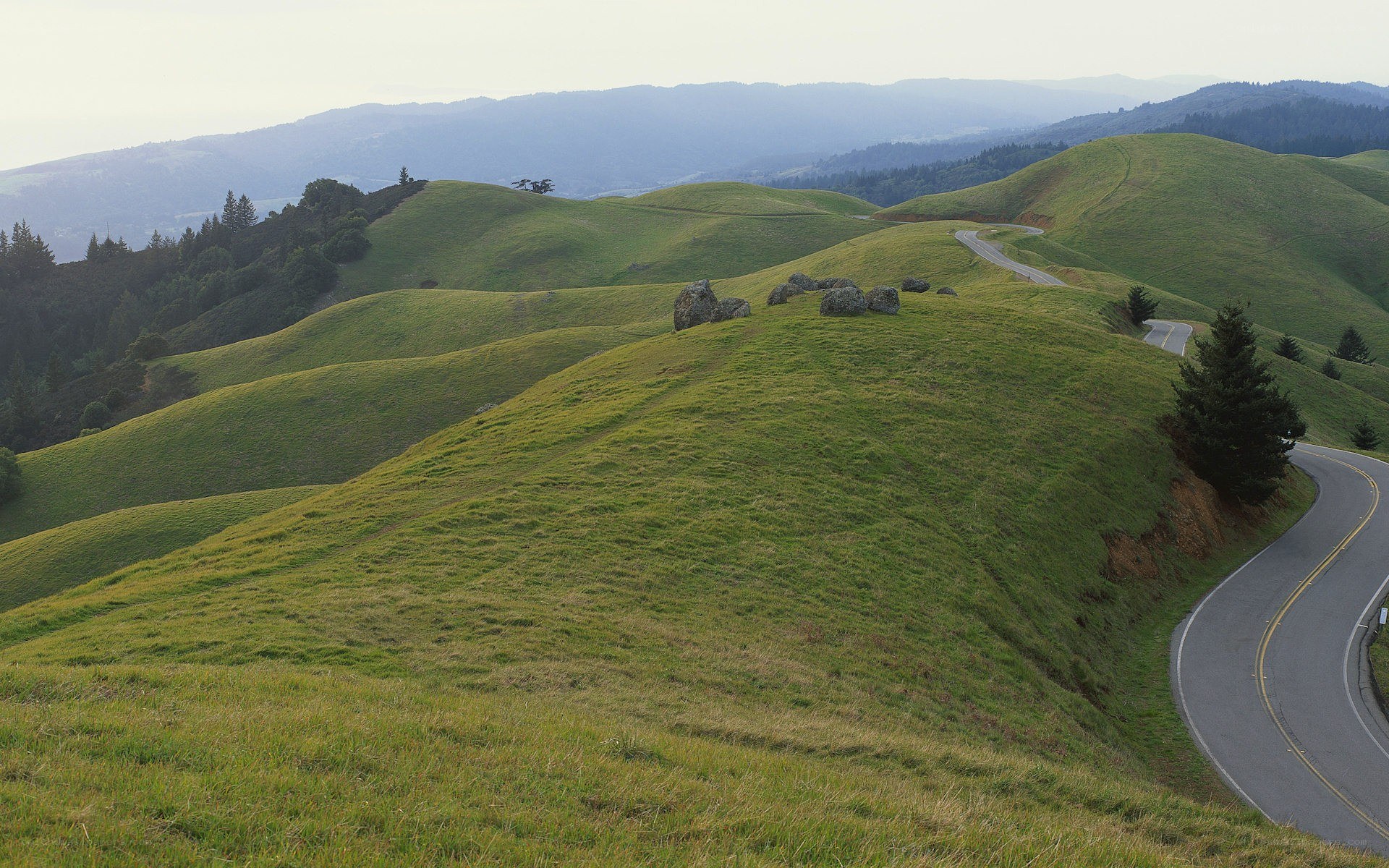 Winding road through green hills