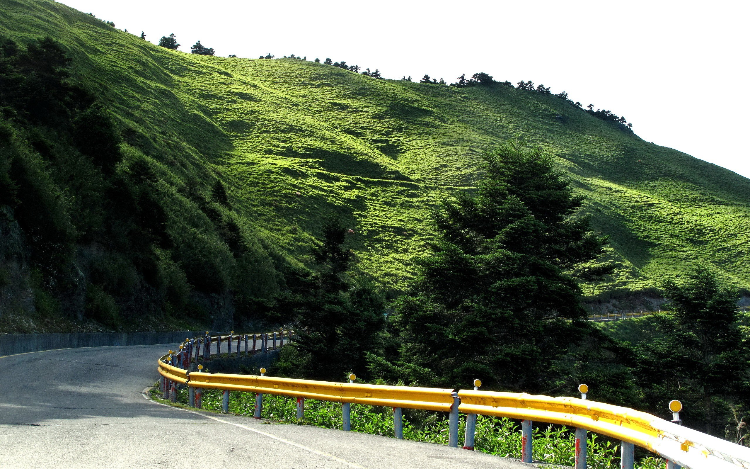 Winding road through green hills