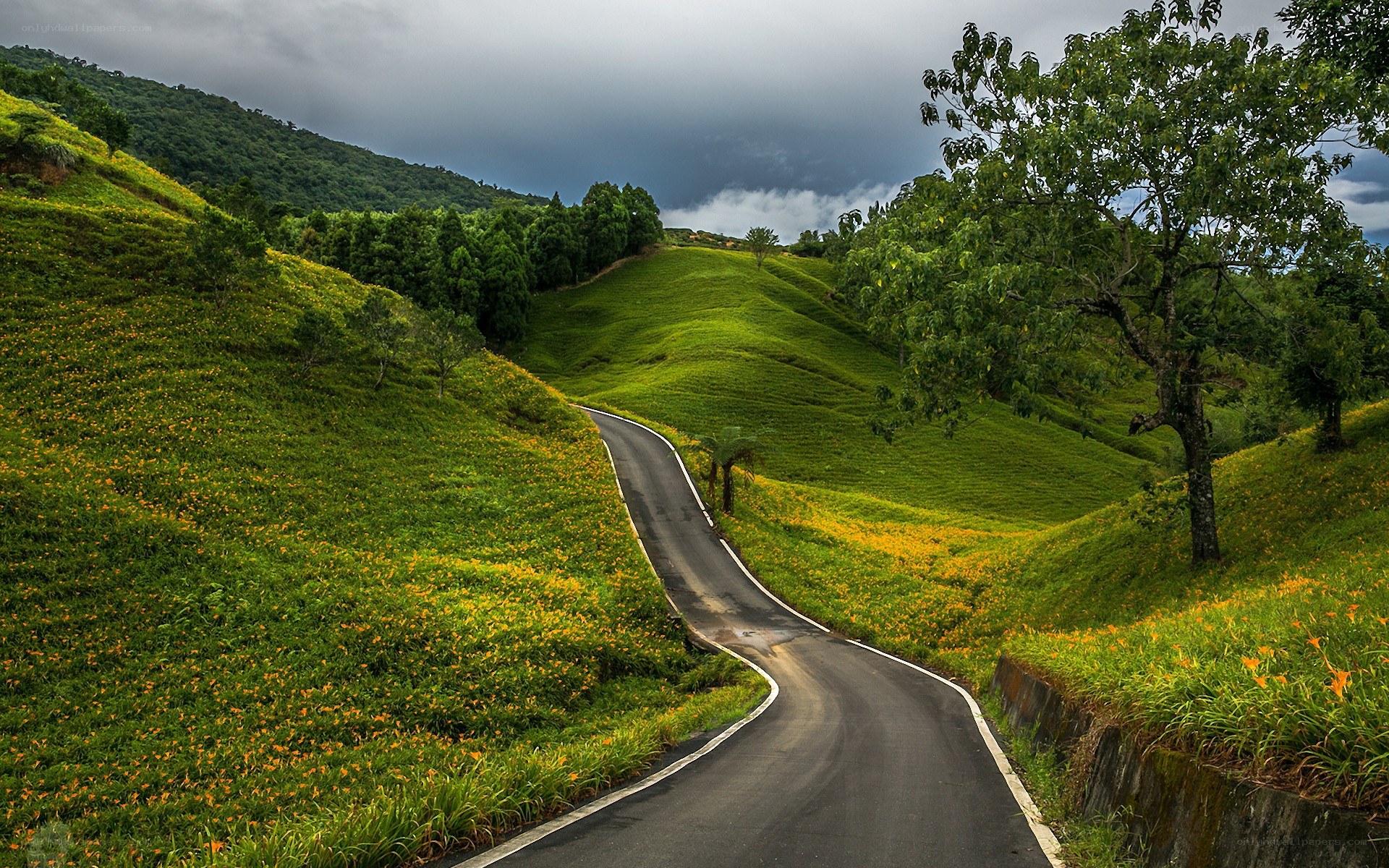 Winding road through green hills