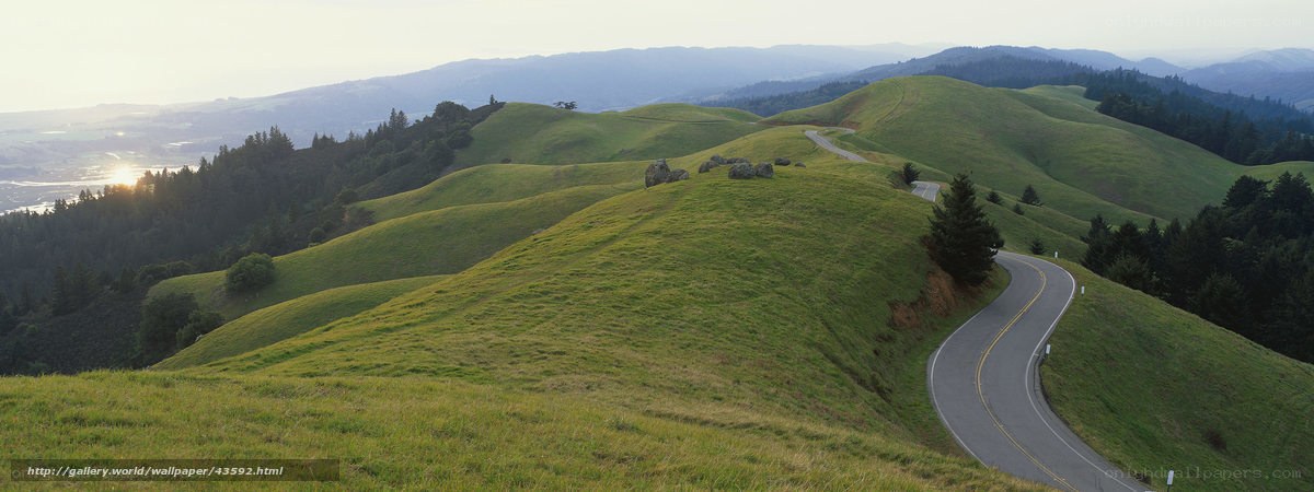 Winding road through green hills