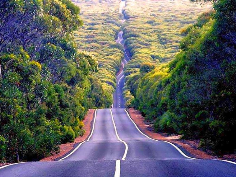 Winding road through green landscape