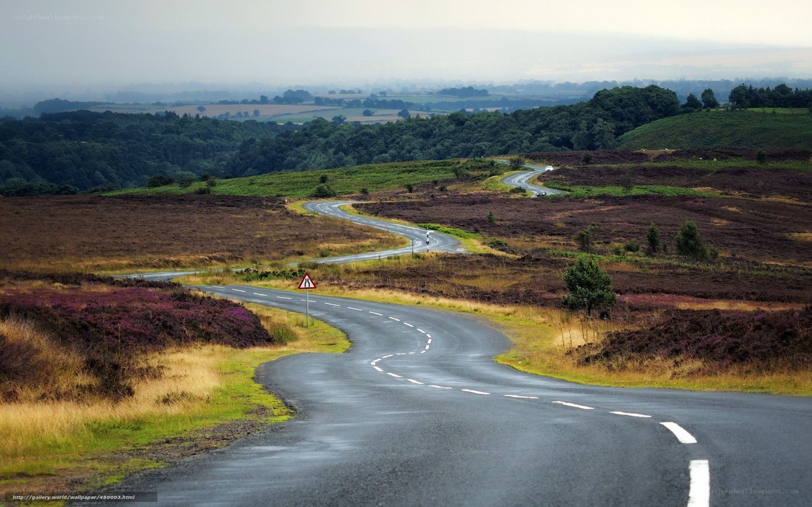 Winding road through heather moorland