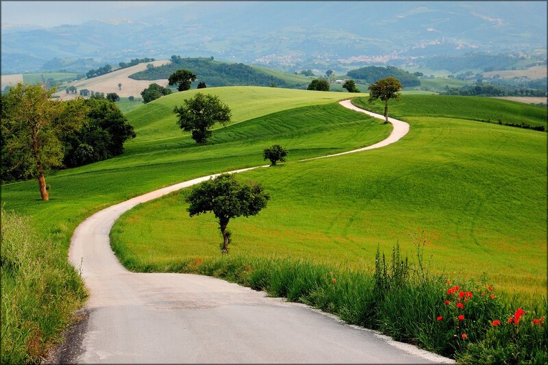 Winding Road Through Hills — Green, Serene, Afternoon, Photograph, Trees, Fields, Flowers