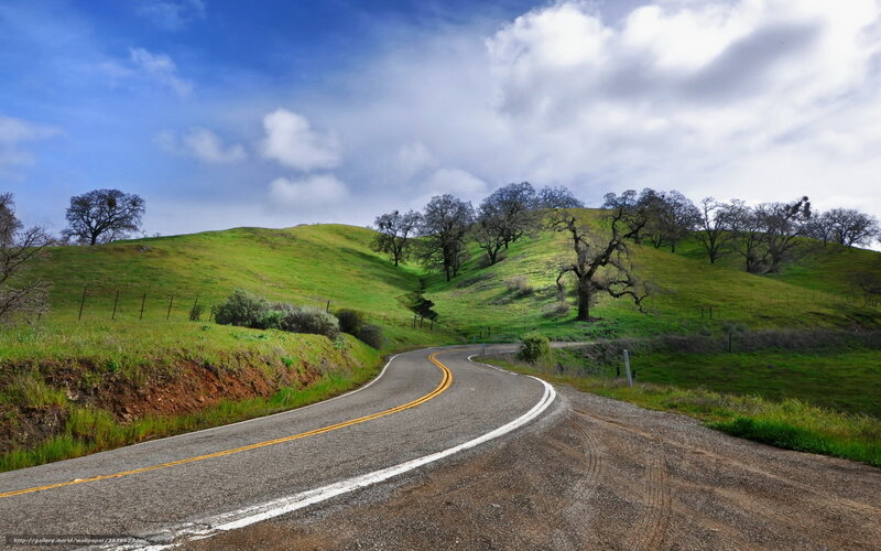 Winding Road Through Hills — Green, Serene, Afternoon, Photograph, Trees, Sky