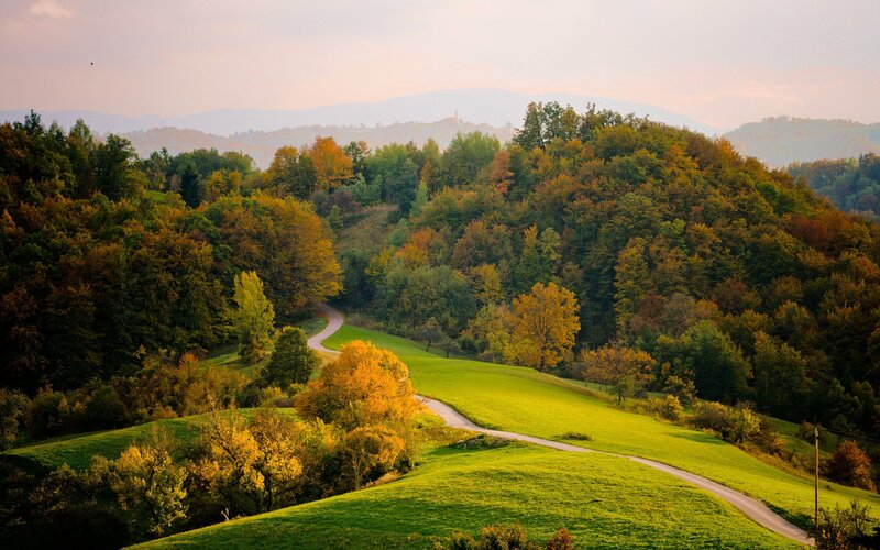 Winding Road Through Hills — Green, Serene, Autumn