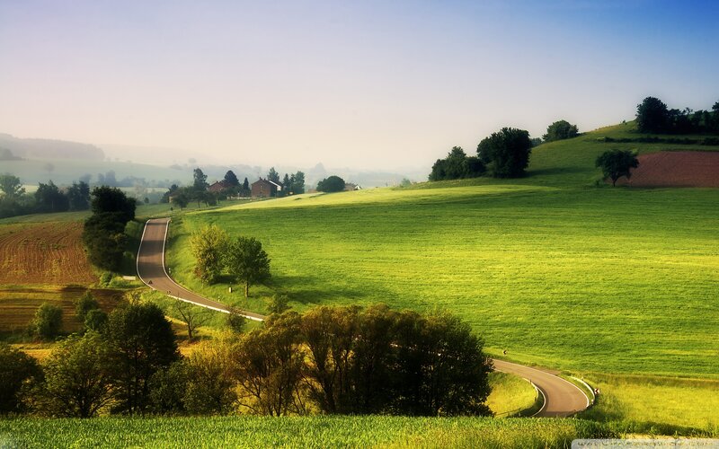 Winding Road Through Hills — Green, Serene, Morning, Photograph, Trees