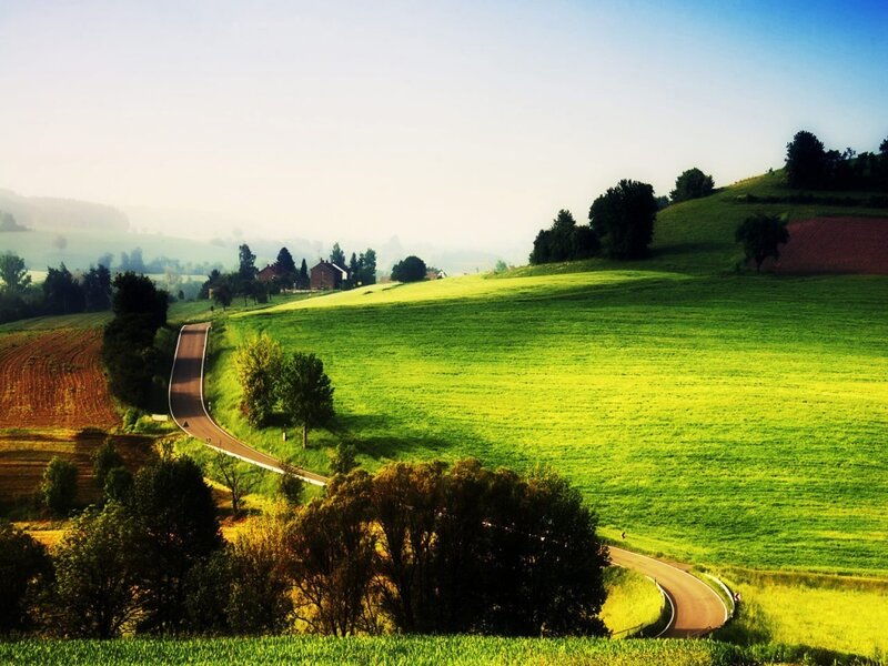 Winding Road Through Hills — Green, Serene, Morning