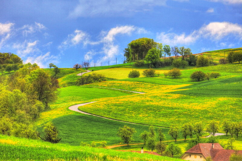 Winding Road Through Hills — Green, Serene, Spring
