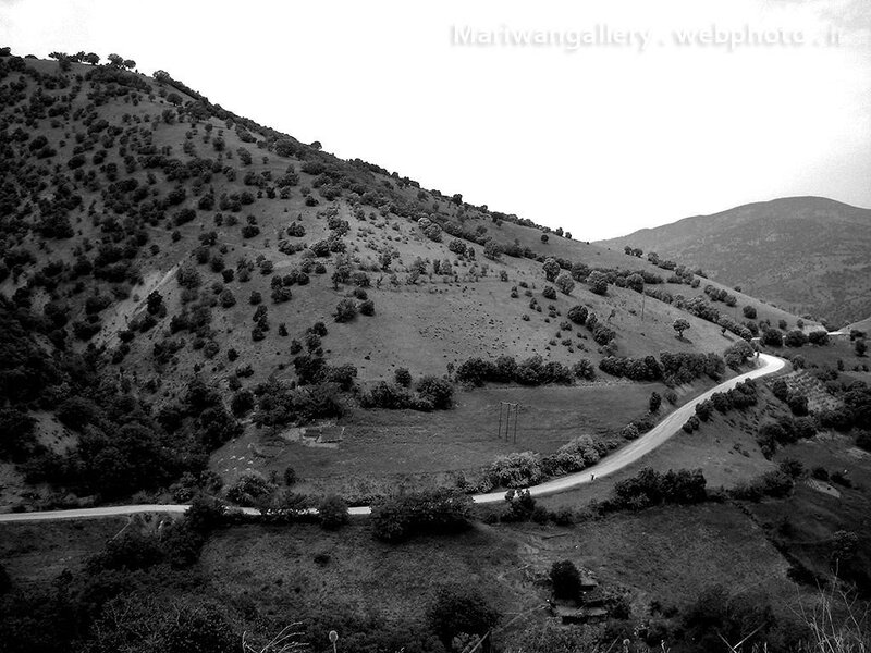 Winding road through hilly landscape