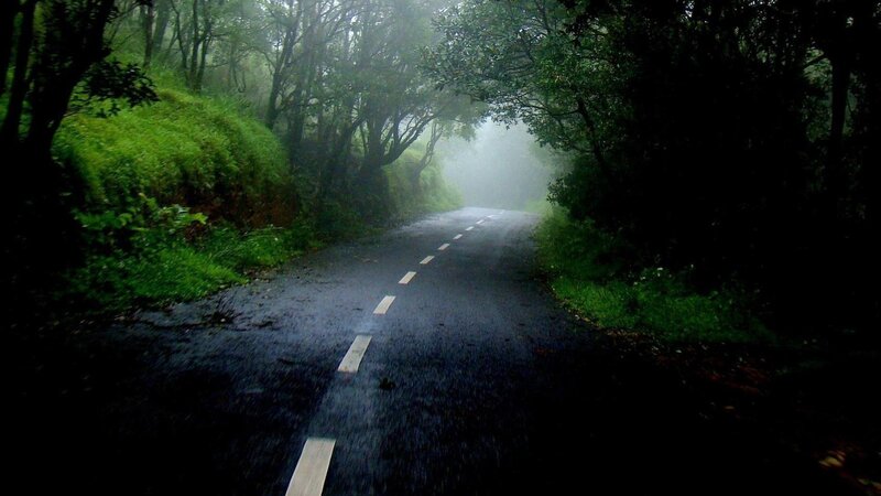 winding road through misty forest
