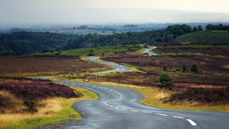 Winding Road Through Moorland — Green