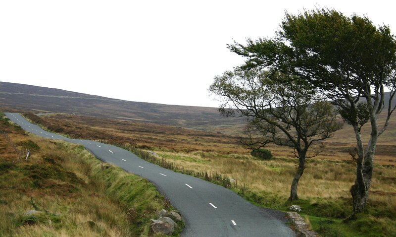 Winding road through moorland
