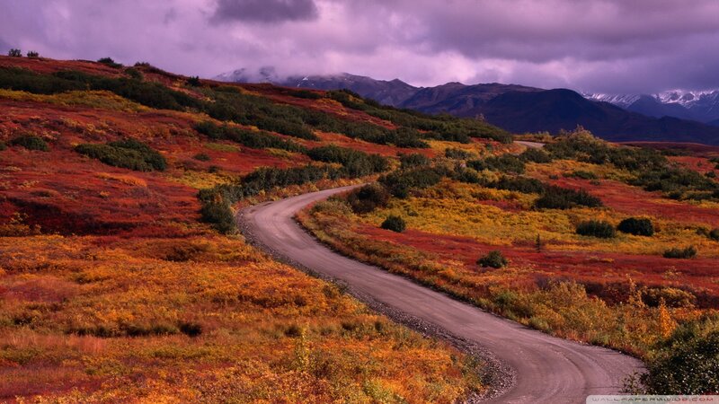 Winding Road Through Tundra
