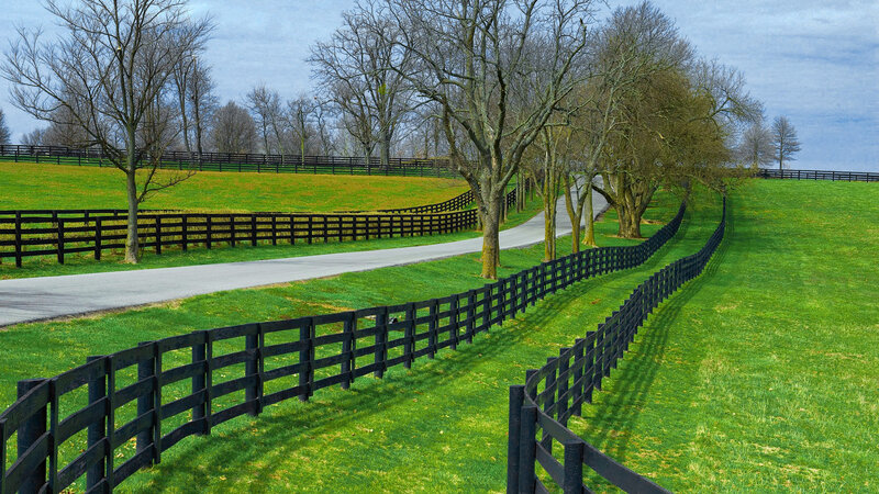 Winding Road with Fences — Green