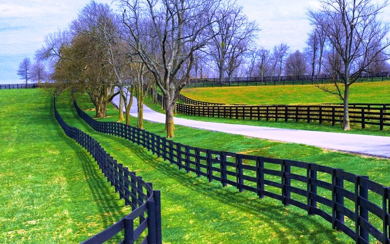 Winding Road with Fences