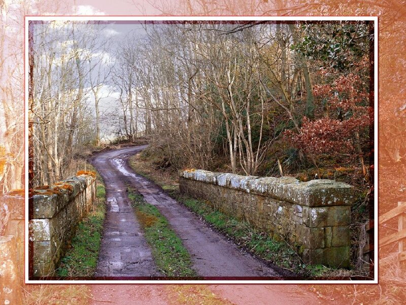 Winding Road with Stone Bridge