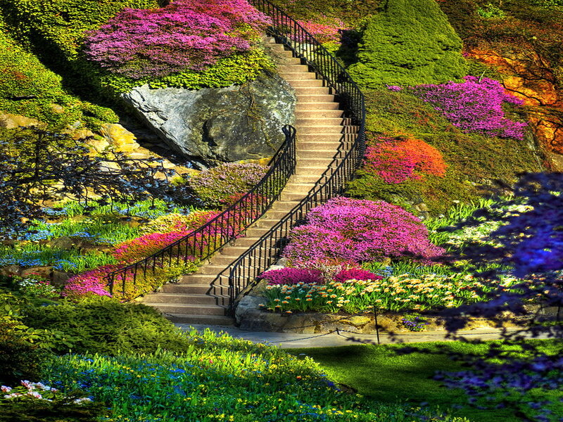 Winding Staircase in Garden — Green