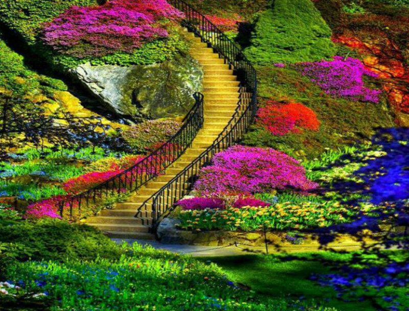 Winding Staircase in Garden — Green, Vibrant