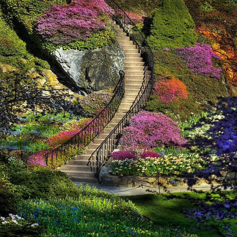 Winding Staircase in Garden